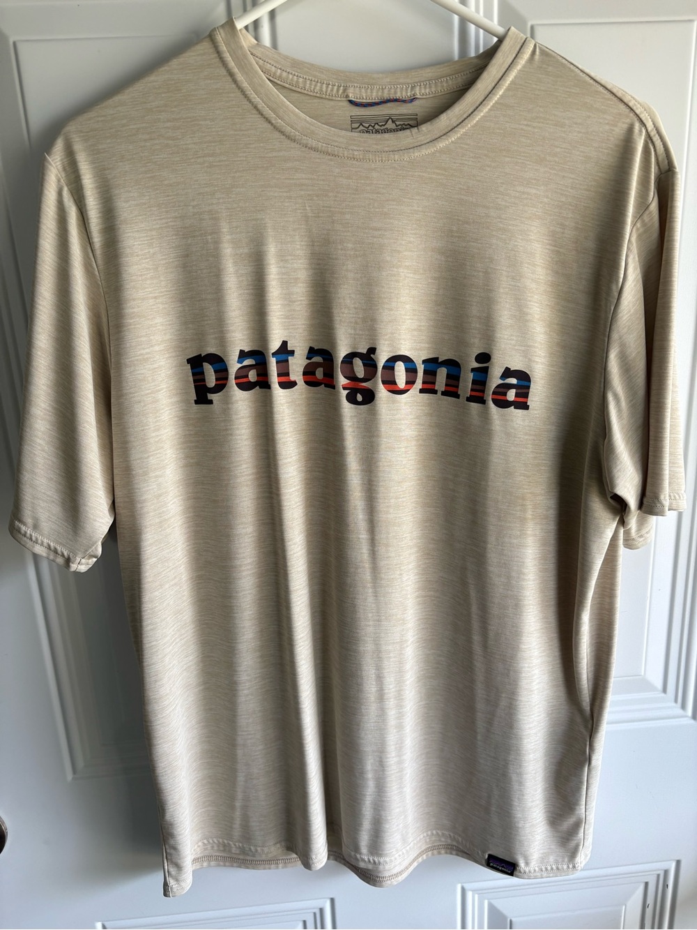 Patagonia Beige Short-Sleeve Logo Tee with Multicolor Striped Text